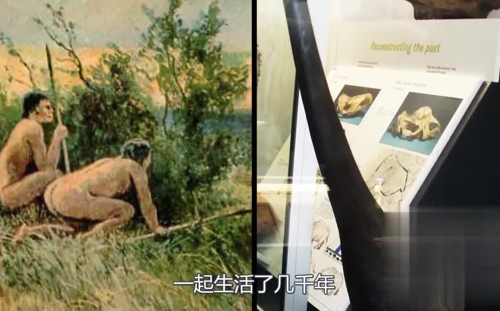 10个可能真实存在的神秘传说，亚瑟王真的很强，花木兰竟是男生？