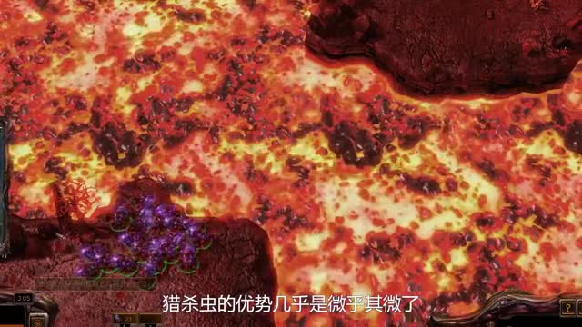 《星际争霸》爆虫的进化该怎么选择呢？猎杀虫后期完全没啥必要性