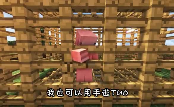 当mc木板会随机替换成不同栅栏，猪猪被困住，阿青提前预判