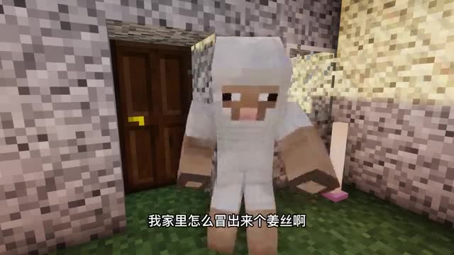 我的世界：假如mc伤害值不固定，钻石剑不如木剑。him小金库被搬