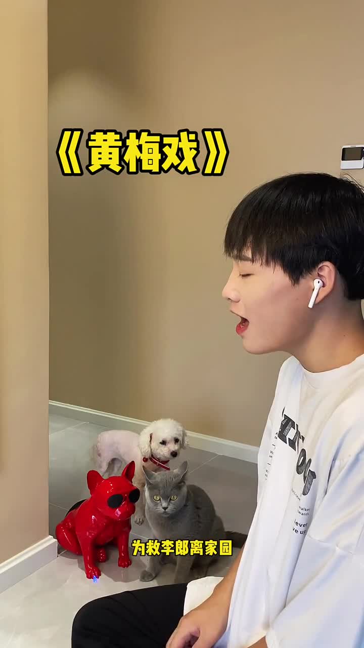 我又带着我的散装戏腔来了