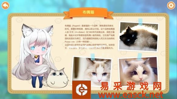 猫咪小姐2游戏介绍