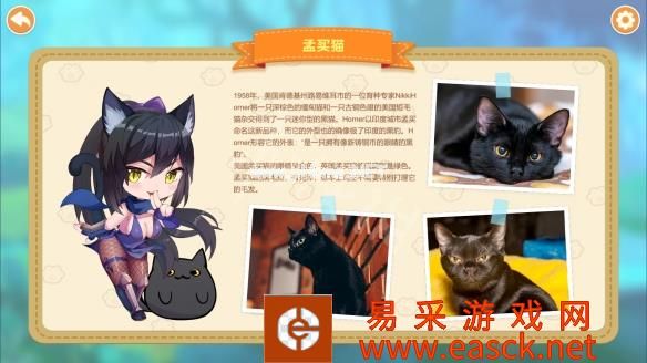 猫咪小姐2游戏介绍