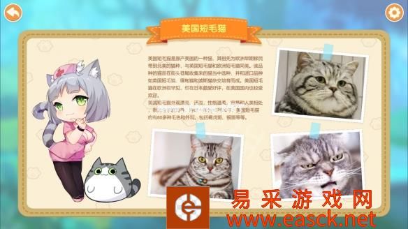 猫咪小姐2游戏介绍