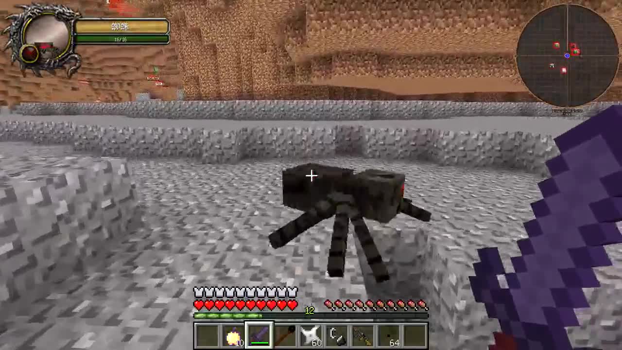 我的世界：穿越不一样的传送门空间？