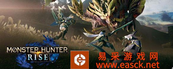 《怪物猎人崛起》配装目标详细解析