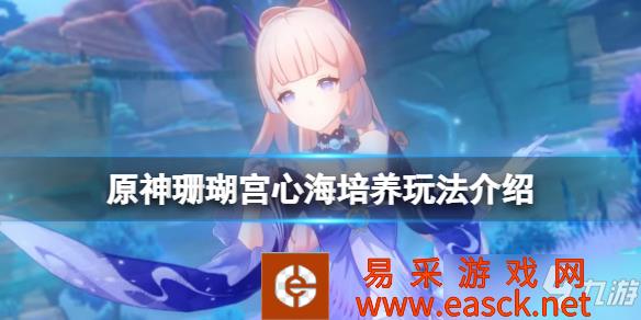 《原神》珊瑚宫心海培养玩法介绍 珊瑚宫心海怎么培养