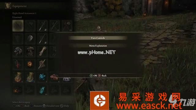 《艾尔登法环》自带暂停功能 不用Mod也能暂停了