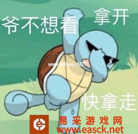 抖音神奇宝贝杰尼龟表情包