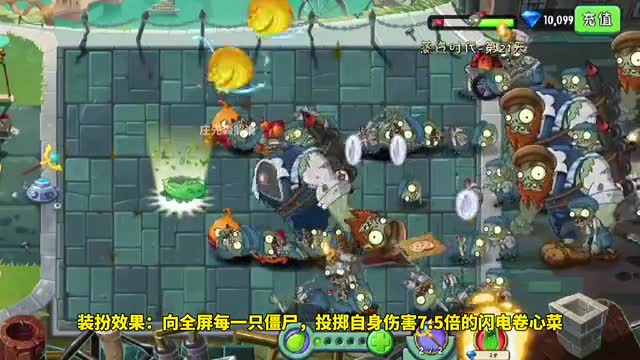 植物大讲堂：卷心菜详细测评！人人都能5阶的质变植物！