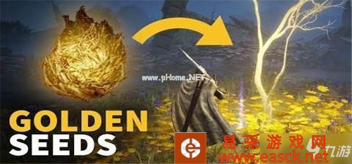 艾尔登法环宁姆格福黄金种子在哪