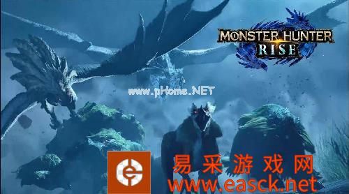 《怪物猎人崛起》重弩最强流派解析