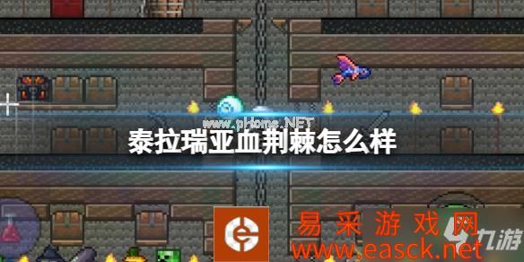 《泰拉瑞亚》血荆棘怎么样 血荆棘武器介绍