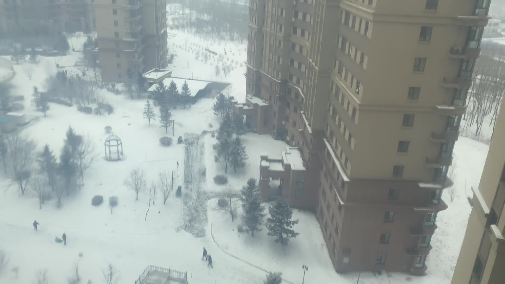 又下雪了呀