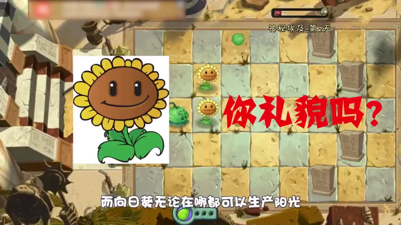 植物大战僵尸：来到这功夫与魔法碰撞的世界，到处都有惊喜！