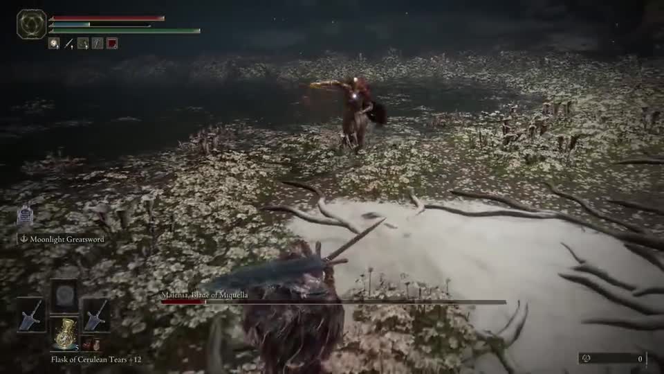 #艾尔登法环  双月光大剑VS女武神