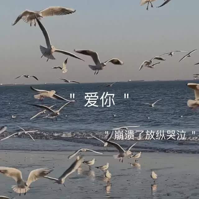 “想要一个意难平的评论区.”