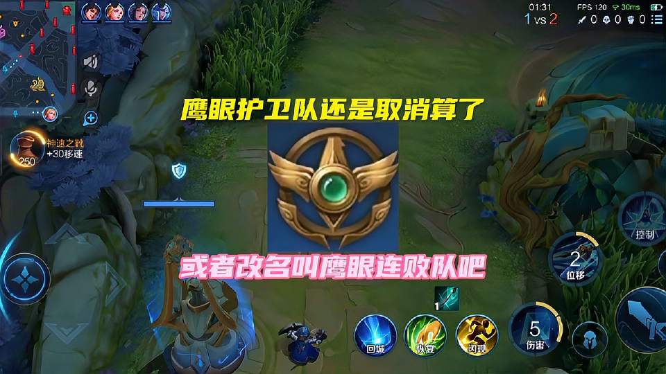 鹰眼护卫队还是取消算了，或者改名叫鹰眼连败队吧