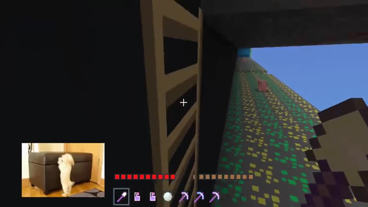 我的世界：痛打小猪佩奇？小蛙烧脑解密