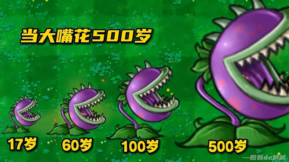 植物大战僵尸：当大嘴花500岁