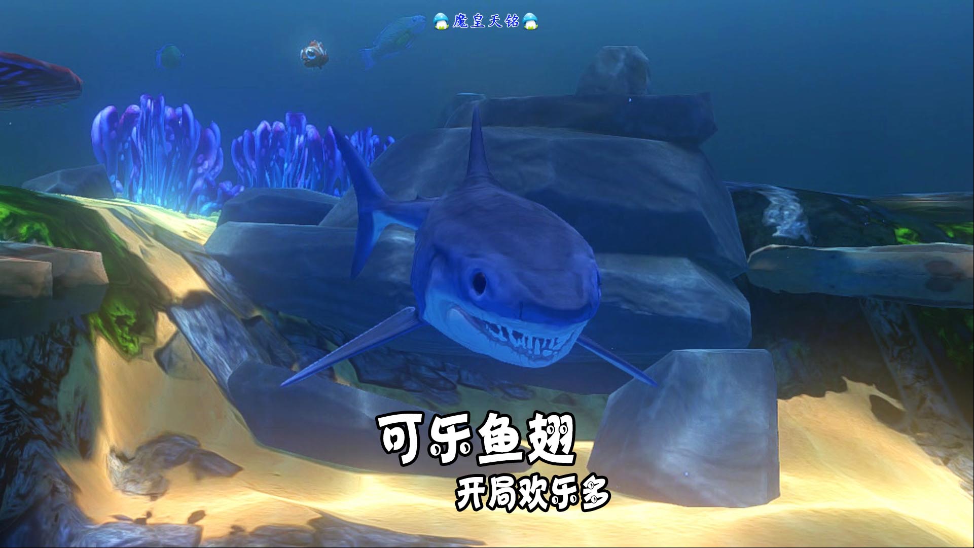 天铭 海底大猎杀 第三季 122 可乐鱼翅，开局欢乐多！灰鲭鲨！#海底大猎杀#灰鲭鲨