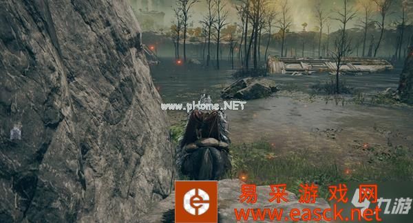 艾尔登法环全龙类boss位置汇总