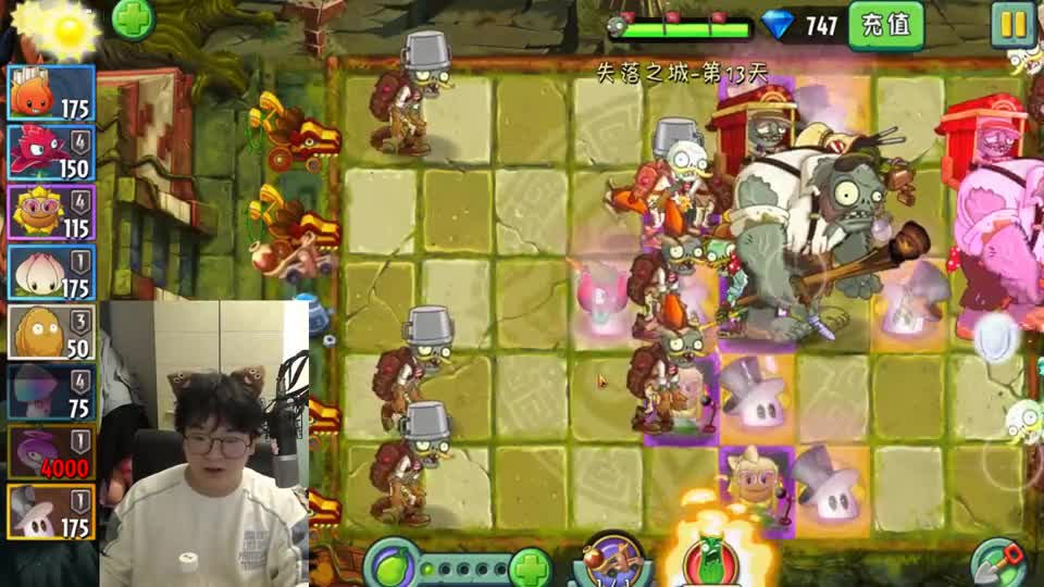 免费得三个金色植物，还白嫖到了最强火焰花！植物大战僵尸2罗修