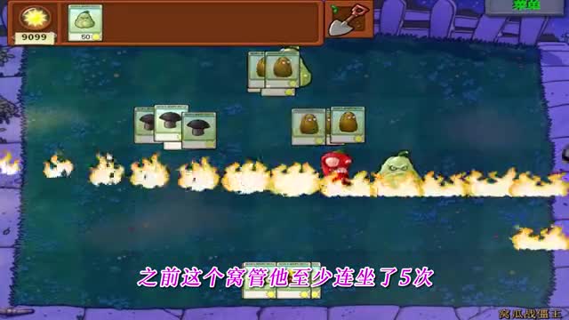 植物大战僵尸：确认过眼神，窝瓜是二爷的人