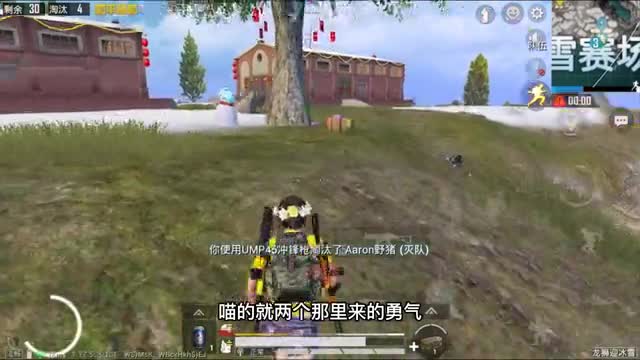 小游最帅：阴人神器VSS，无情的输出