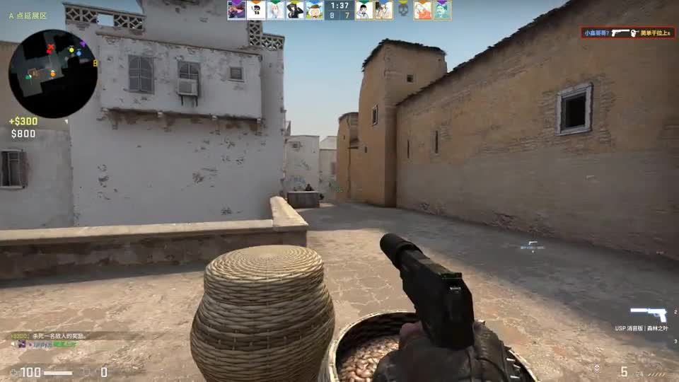 CSGO大型赛马比赛，不是你空枪就是我打不准