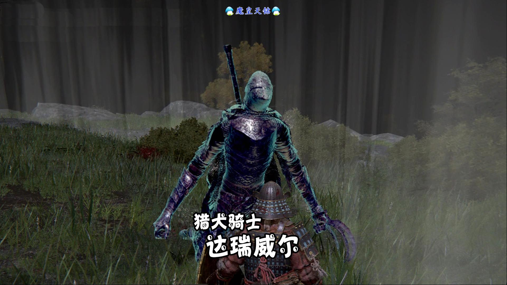 艾尔登法环 天铭 09 前期神器：猎犬长牙！猎犬骑士：达瑞威尔！#艾尔登法环#猎犬长牙