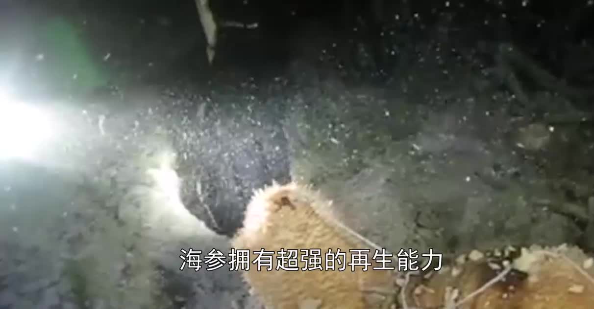 超极端的求生手段！为躲避敌人，会直接喷出“五脏六腑”！