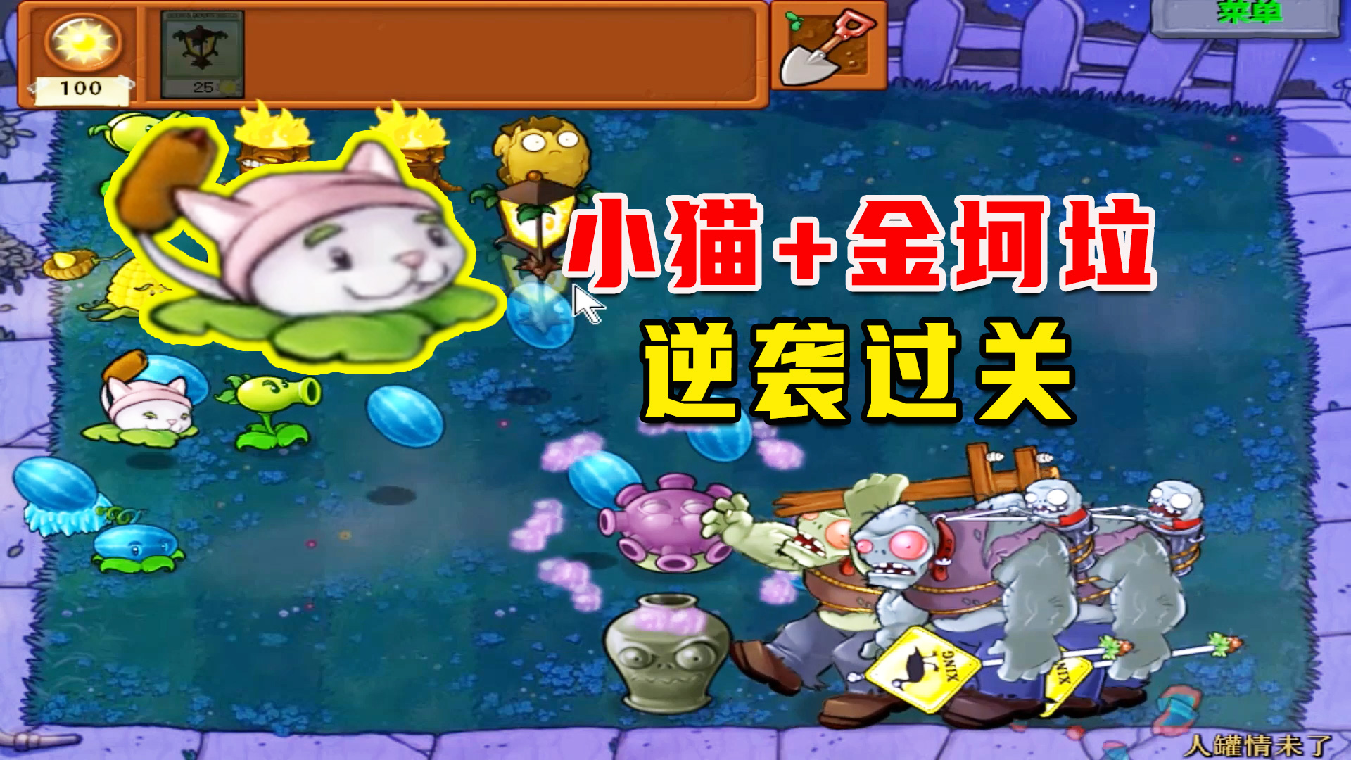 植物大战僵尸：人罐情未了（下），我看是人猫情未了吧？#植物大战僵尸#单机游戏