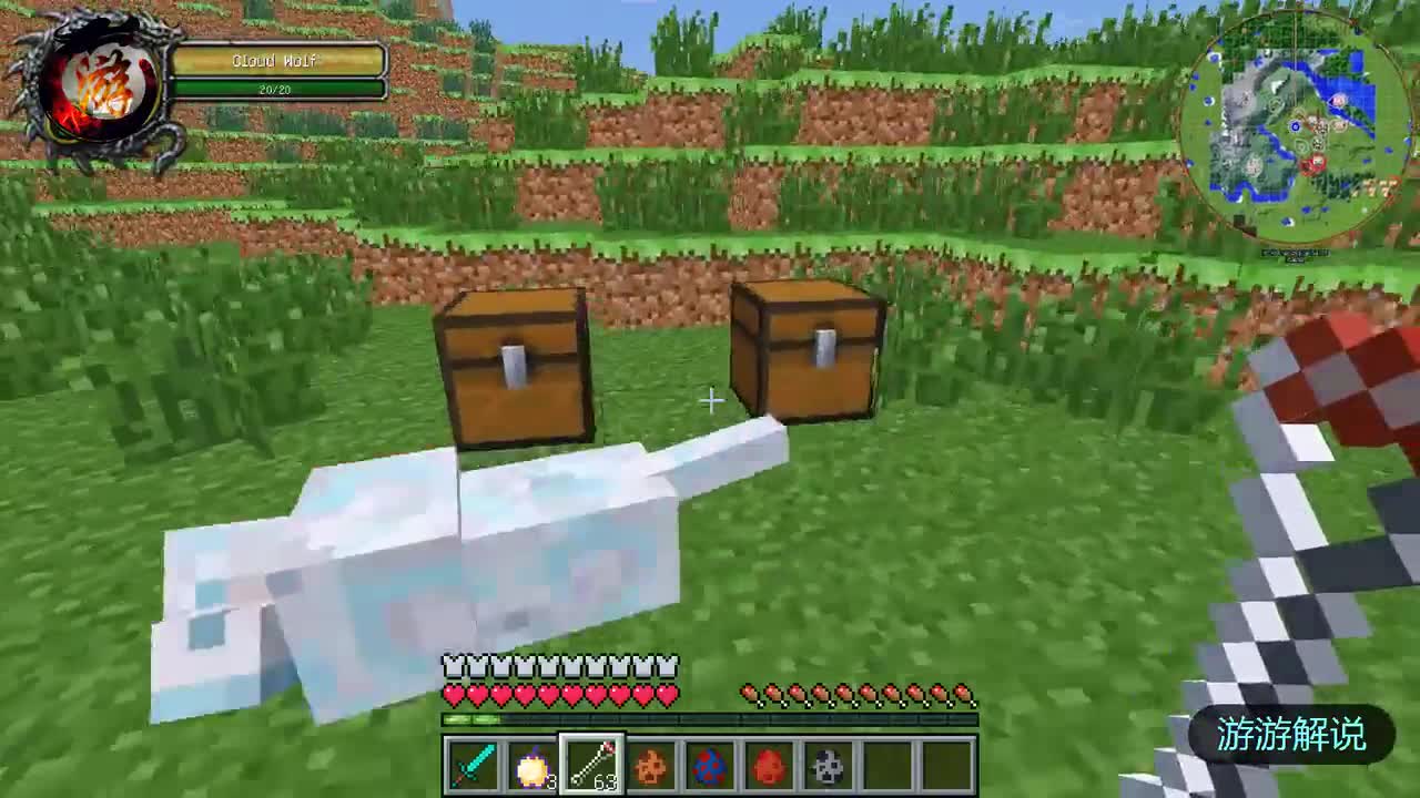 我的世界：5种变异的狼，你喜欢哪只？