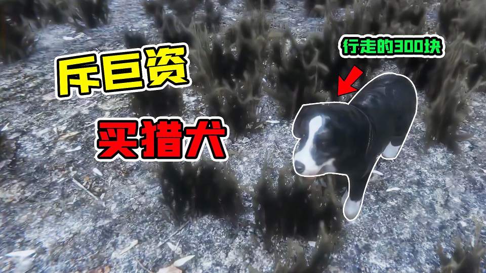 乞丐模拟器05：为了阻止NPC吃了小狗，我花巨资把它买下！