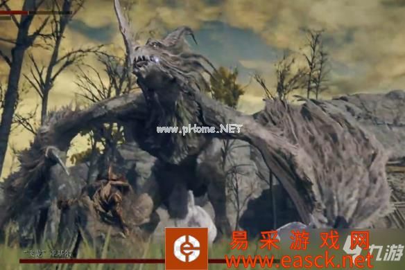 《艾尔登法环》BOSS飞龙亚基尔打法注意事项