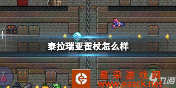 《泰拉瑞亚》雀杖武器介绍 雀杖怎么样