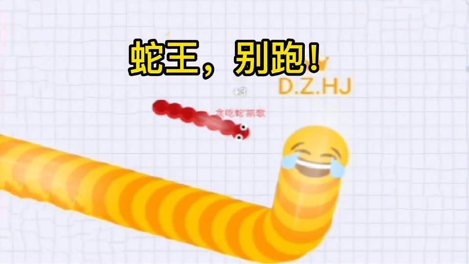 蛇王大战之小蛇复仇记！