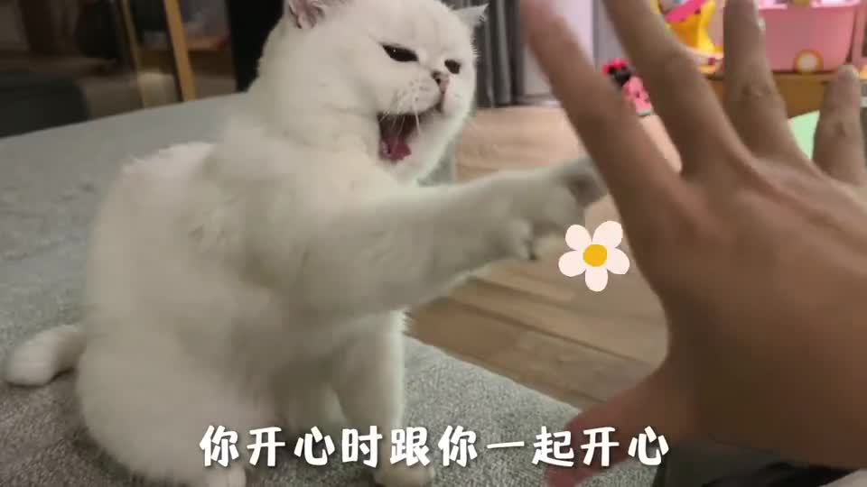 不知道森爸敢接受挑战吗六神花露水种神操作
