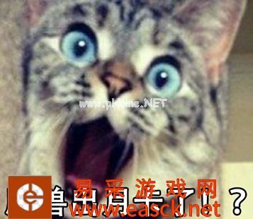 魔兽世界怎样充卡最划算 最划算的充卡方式