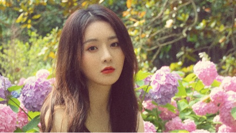 【直播回放】艾尔登法环组成老头部分 2022年3月18日19点场