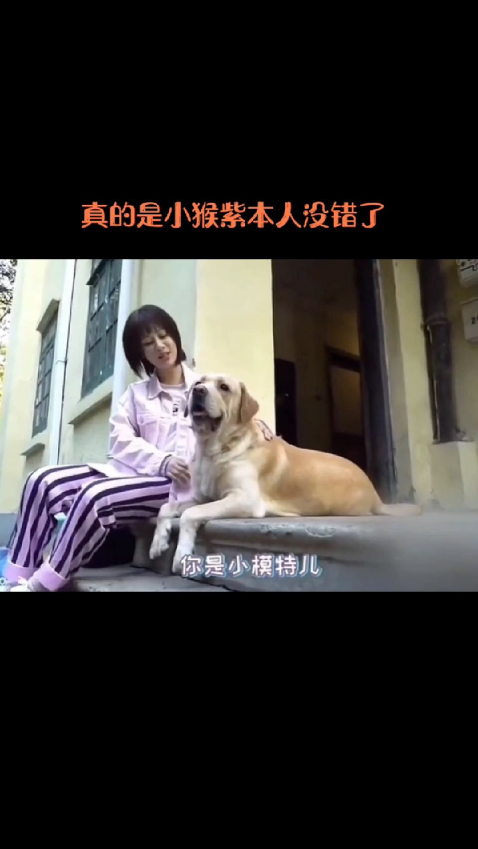 是小猴紫本人没错了