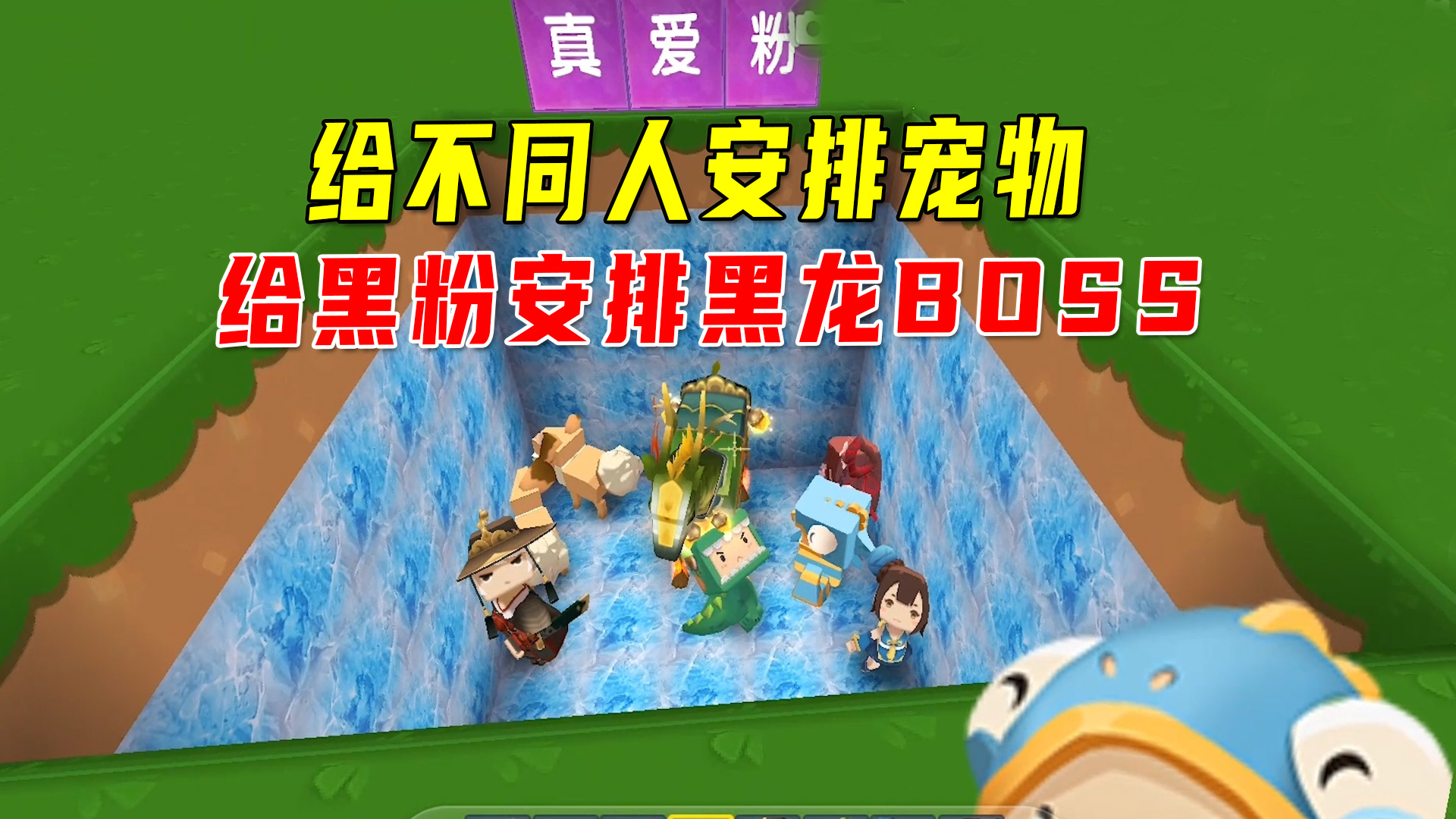 迷你世界：给不同人安排宠物！给黑粉安排黑龙boss宠物，合适吗？#迷你世界