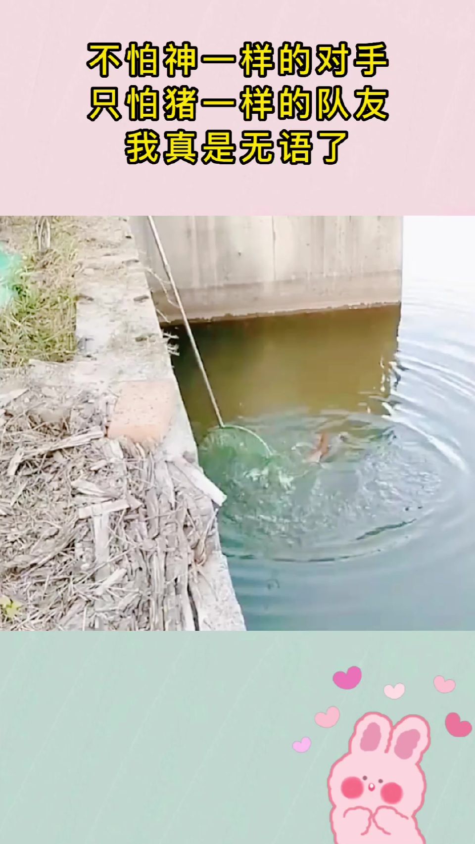 不怕神一样的对手，只怕猪一样的队友，我真是无语了