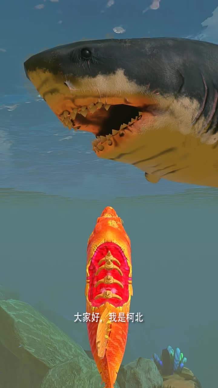 #游戏#柯北发了一个短视频，你尽管点开，不好看算我输