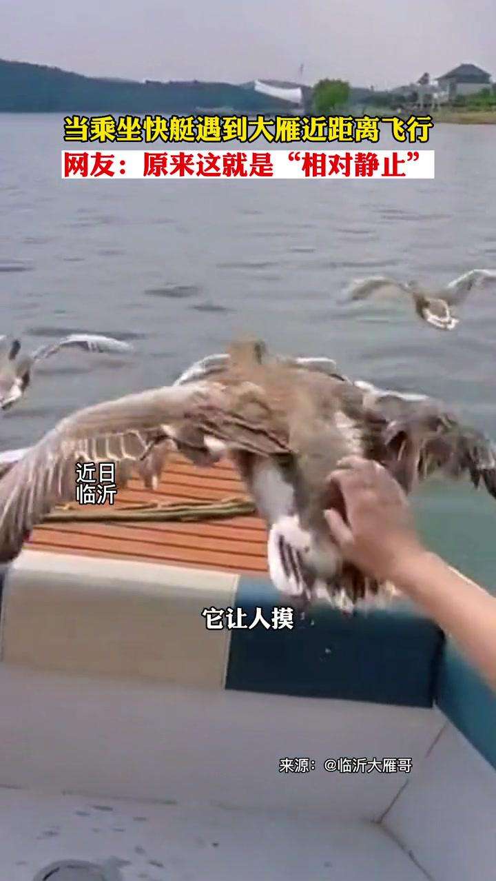 网友：要不叫个“乘风破浪组合”？