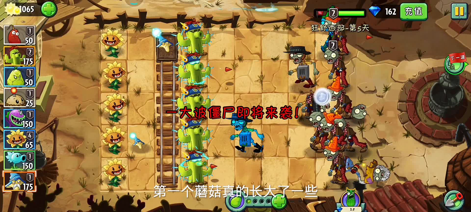 植物大战僵尸2，狂野西部5#游戏 #植物大战僵尸