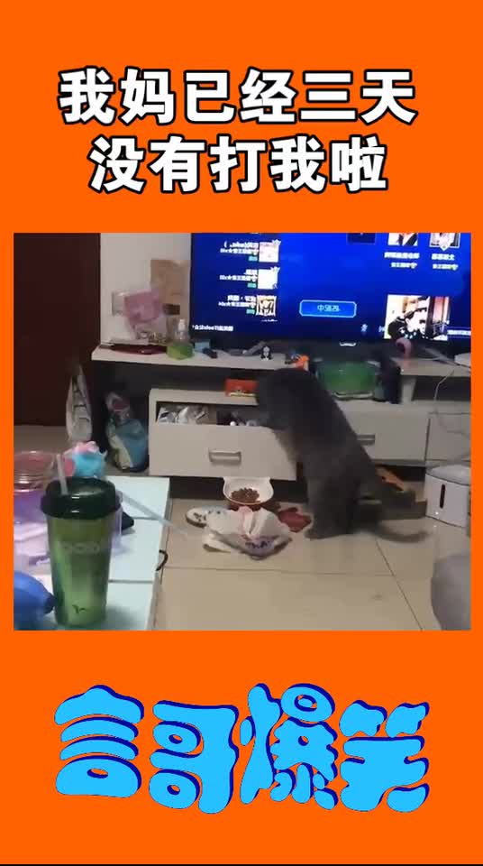 我妈已经三天没有打我了，切克闹