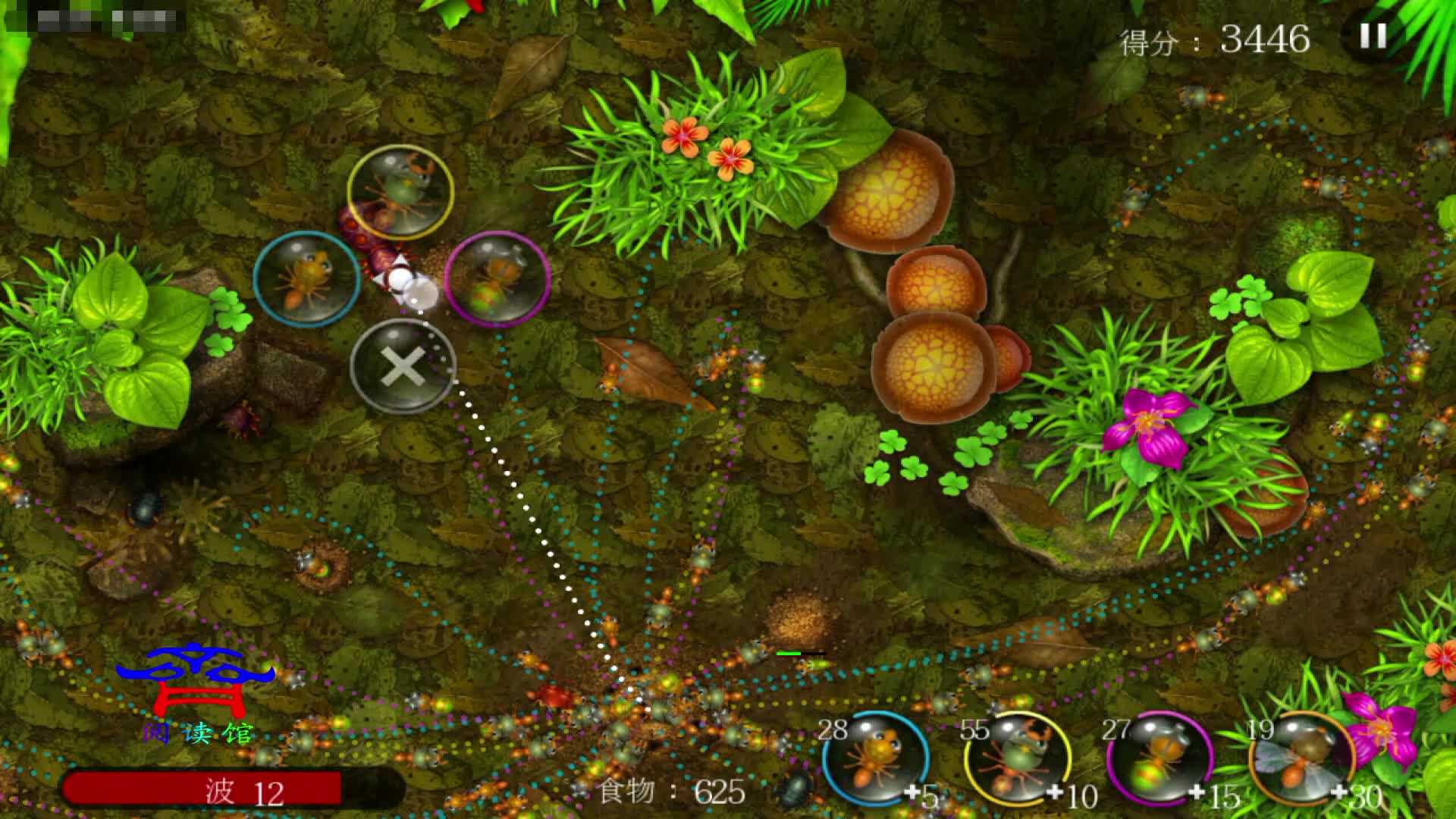 这个虫子太厉害，对蚁穴有极大的威胁，靠人多取胜