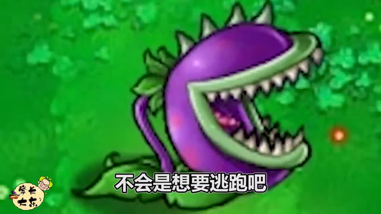 植物大战僵尸：太阳花把食人花中尉当成坚果墙使用放在最前面？